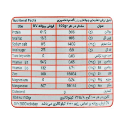 پودر جوانه گندم تخمیری دکتر سبوس 60 گرم - تصویر 3